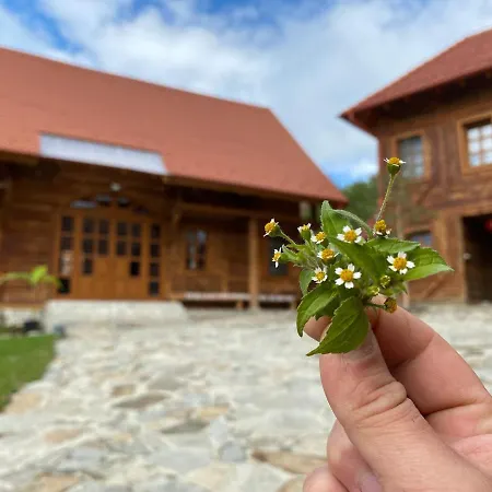 Guest house Szekelyfoeld,siklodi Ko Vendeghaz, Csur